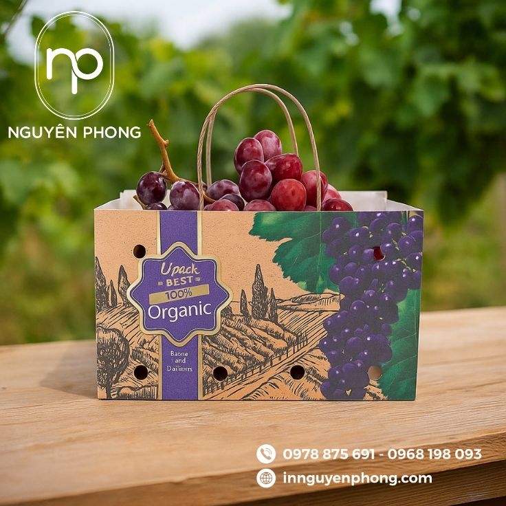 Mẫu túi giấy đựng nho khô in logo 